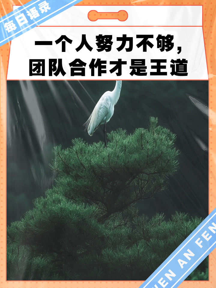 成功关键在于团队合作，教练强调重点